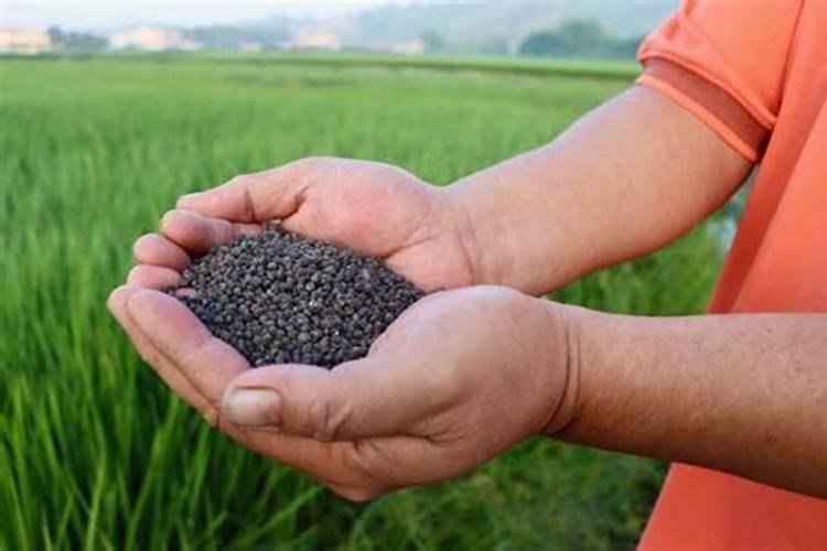 盐湖钾肥的股票代码(基石投资者)