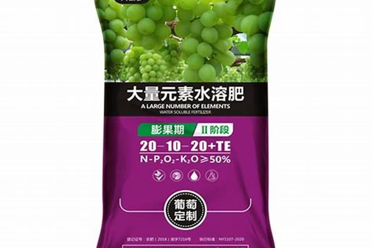 葡萄着色期施什么肥 管理要点有哪些