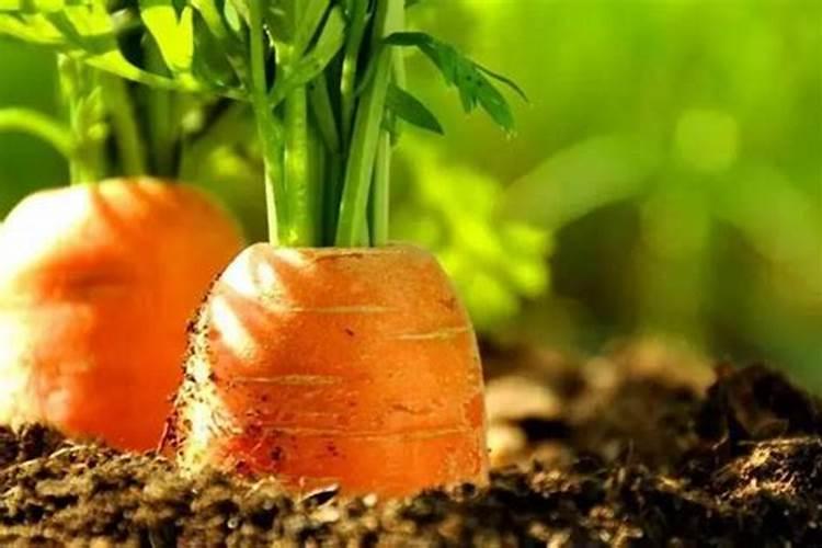 叶面肥含铜能和复硝酚钠混和喷施