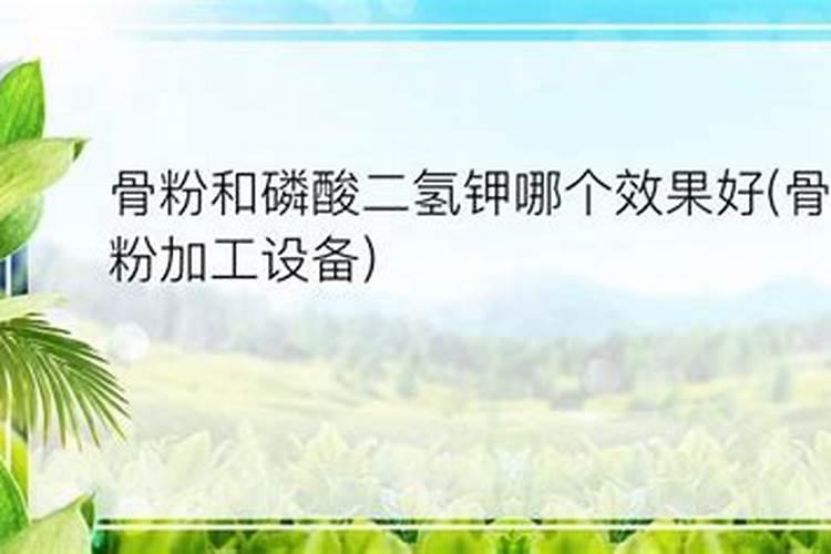 骨粉养花有效吗是智商税吗