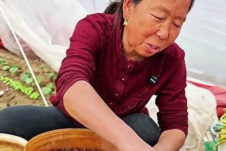 如何在家里沤肥