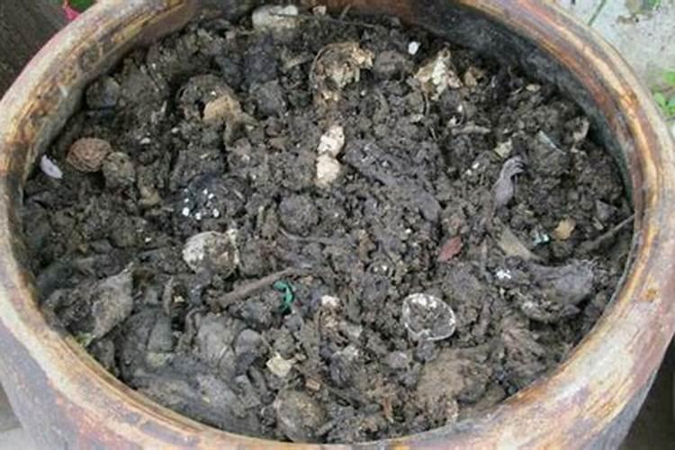 种蔬菜,用饼肥怕烧根,掌握哪些简单的腐熟方法,肥效会更好？