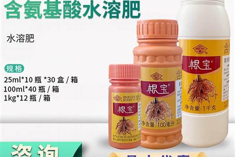 国光根宝使用方法