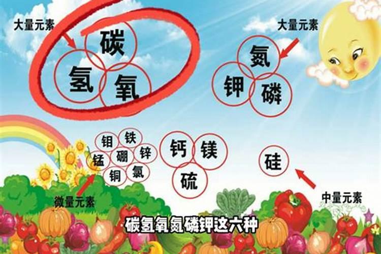 什么是大量元素？举例