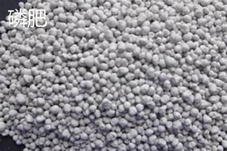 区分氮肥、磷肥、钾肥的方法有 ①看外观.氮肥、钾肥都是白色晶体;磷肥...