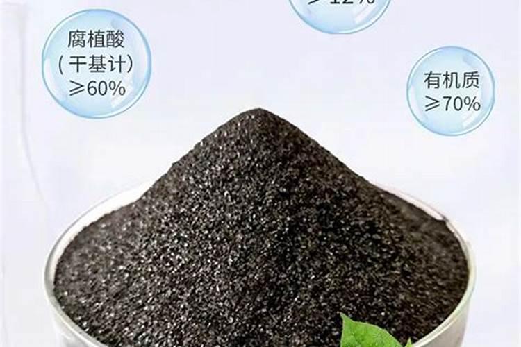 葡萄养根什么水溶肥好？答案在下文