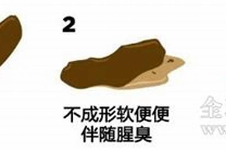 长寿花施肥时间和方法