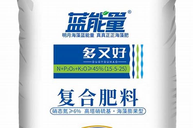 长寿花什么时候施化肥