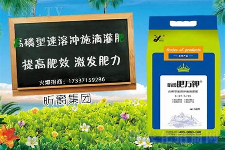 磷肥对果树起什么作用