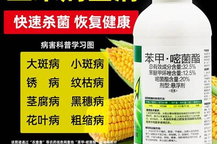 玉米防病菌广谱用什么药好