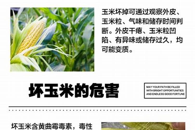 硅钙钾镁使用过量抵制生长怎么回事,叶面发黑不长棵 含量(硅22钙23钾6...