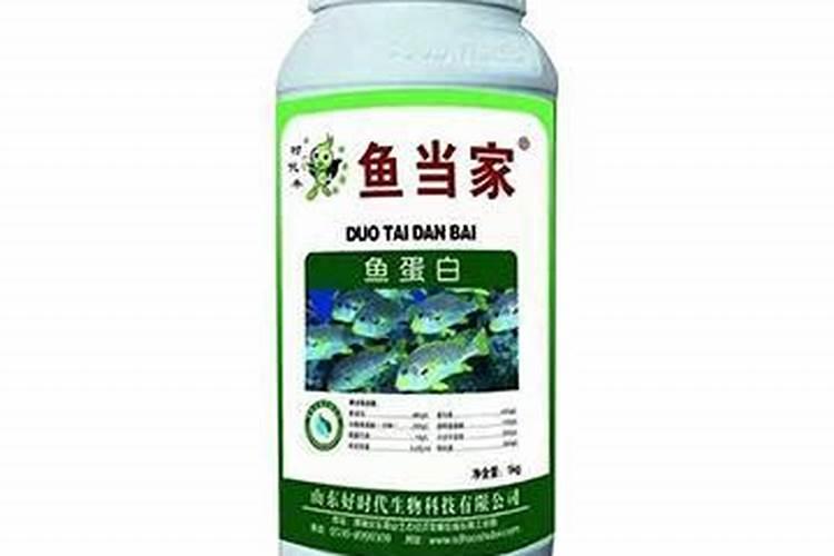 长寿花什么时候施化肥 怎么施肥最好