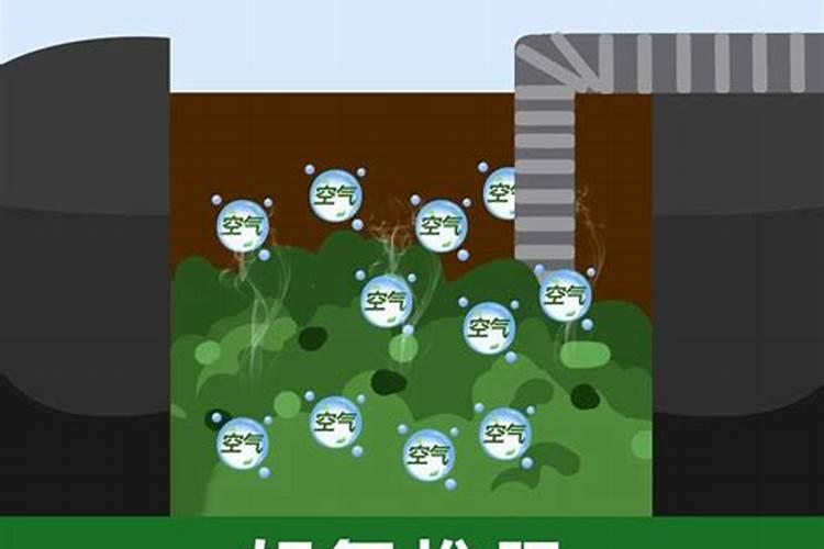 粪便最好的处理方式