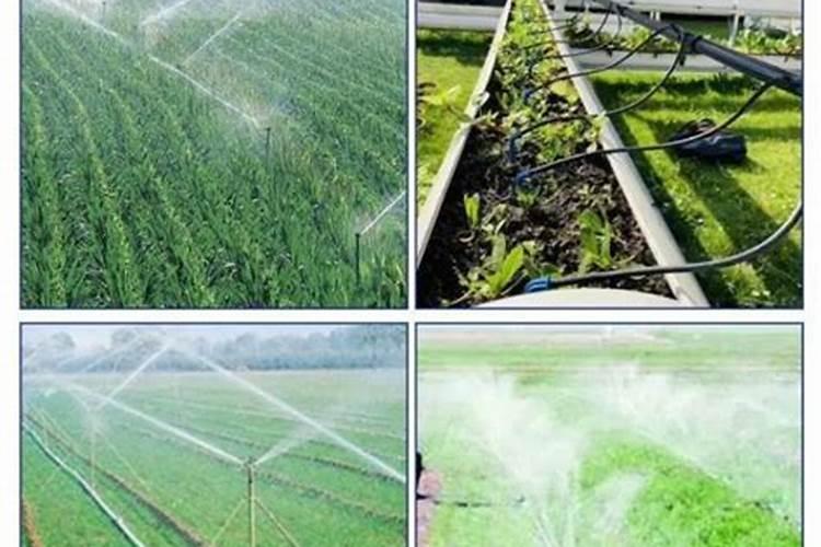 桃子高产有什么施肥方法桃树管理方法？