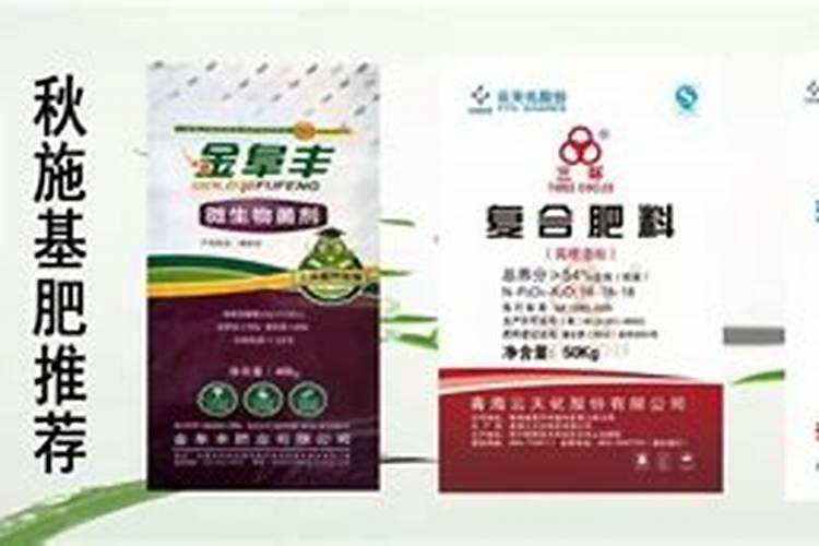 红姑娘的功效与作用 药用价值和副作用禁忌