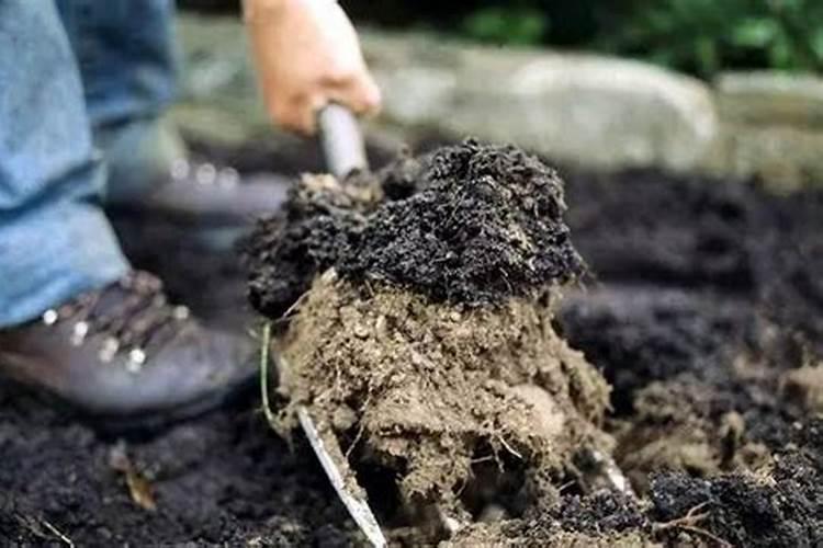 葡萄种植不同时期如何追肥