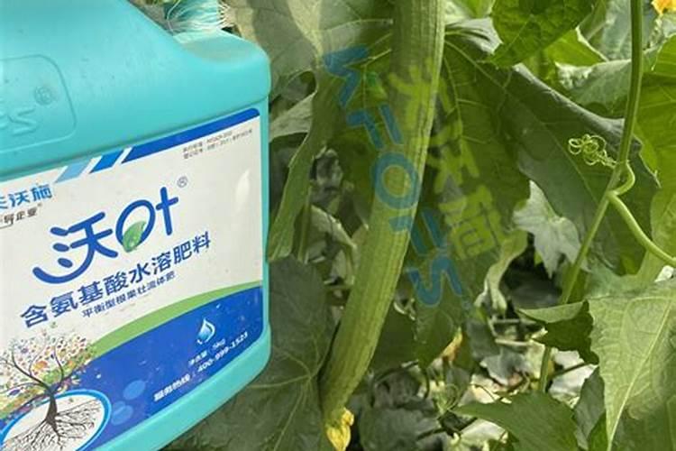 深受农资人喜爱的含氨基酸水溶肥到底有多厉害？