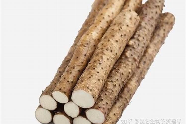 24一表芸苔素内酯用多了有害吗？