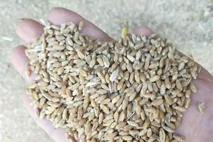 佛山住商复合肥,20一7一13成份,80斤重多少钱一袋!