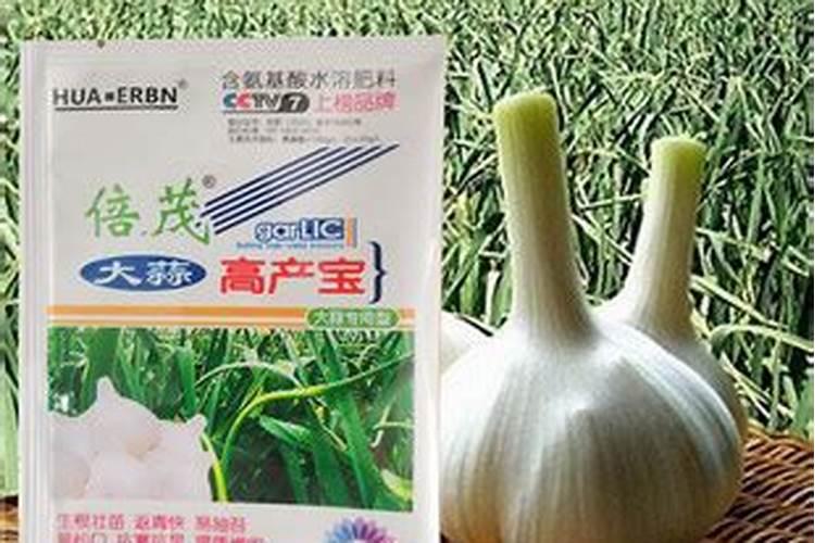 脐橙全年施肥时间表