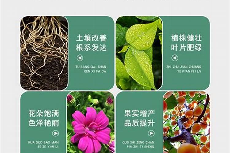 养花复合肥哪种好些 复合肥哪种好