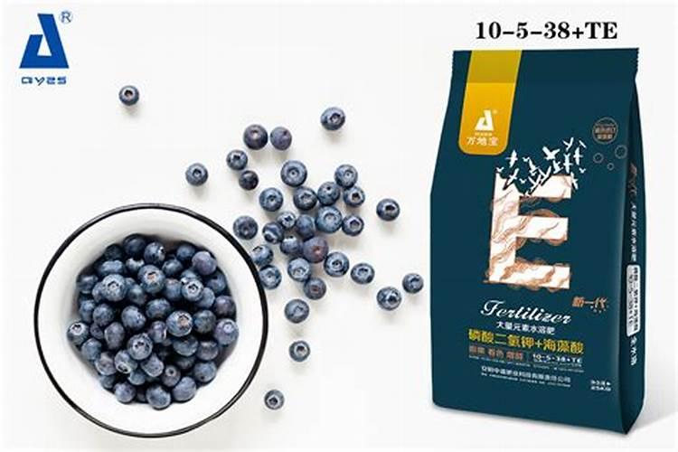 蓝莓用什么肥料最合适怎样给蓝莓施肥