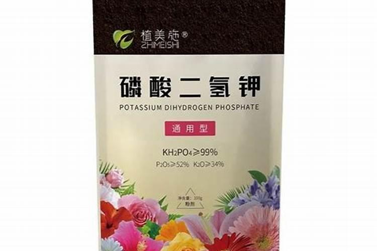 水培植物怎么施肥比较好