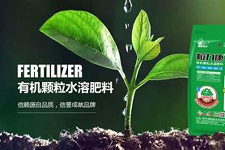 叶面肥是什么