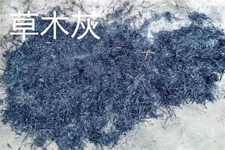 施草木灰主要是什么肥料