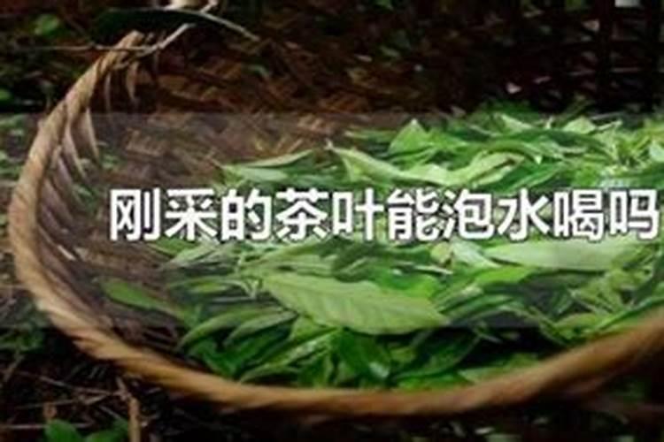 喝完茶水的茶叶根能用来浇花吗