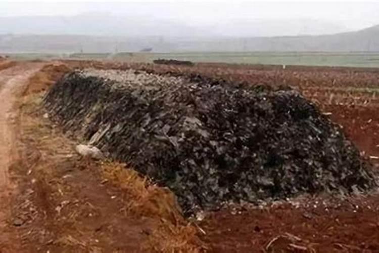 牡丹花施肥方法