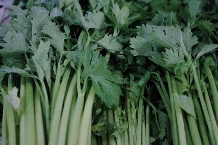 芹菜专用肥是什么肥料？芹菜打什么叶面肥长的快？