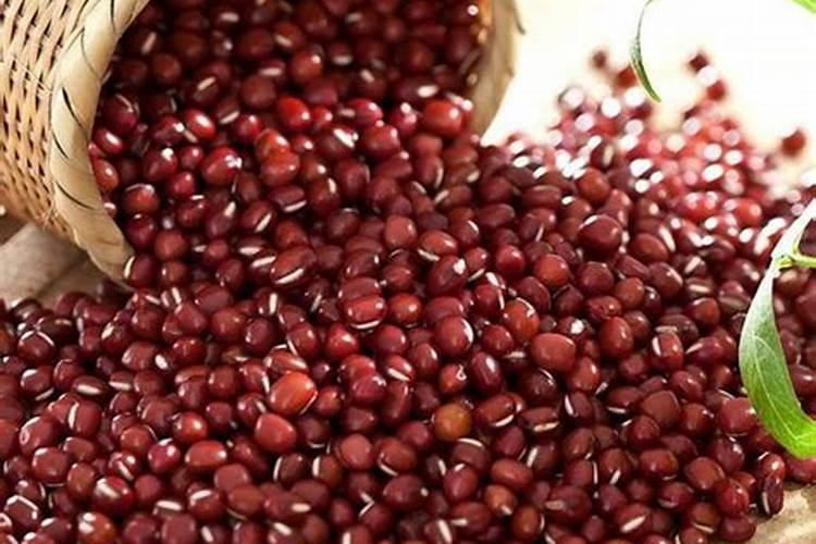 红小豆开花后如何进行田间管理