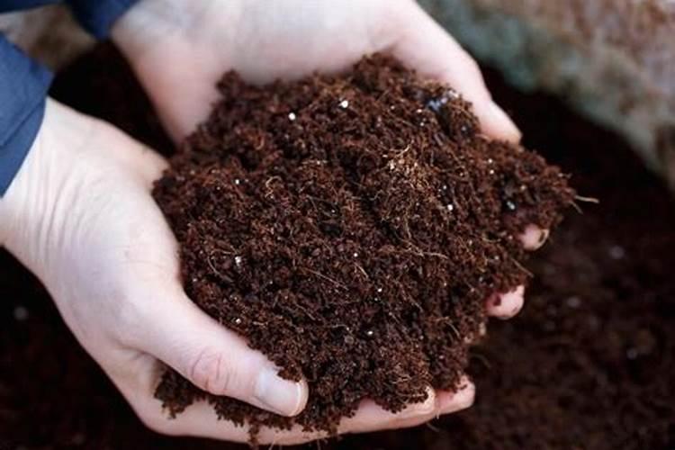 磷肥的沤制方法