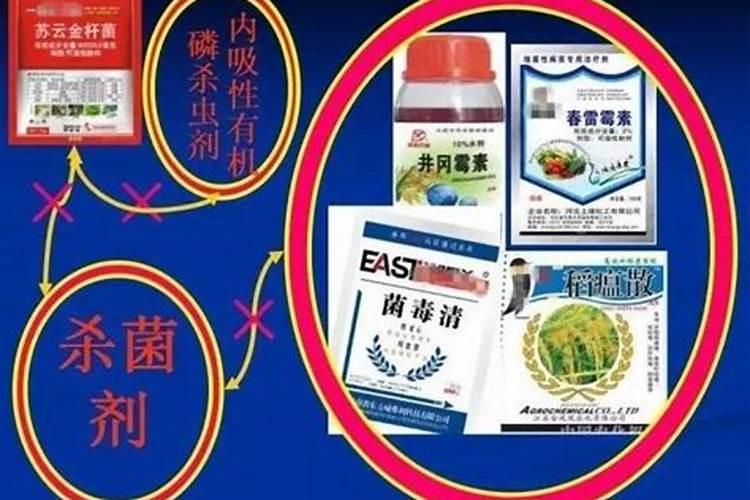 糖醇钙不能和什么复配？