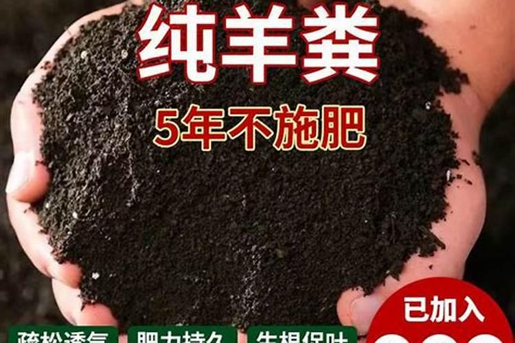 种菜养花买什么肥料好 种菜养花买什么肥料