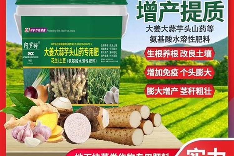 山药种植技术,化肥,药物展示