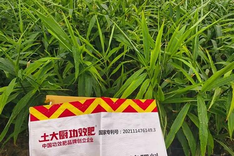 如何辨别水溶肥料的好坏