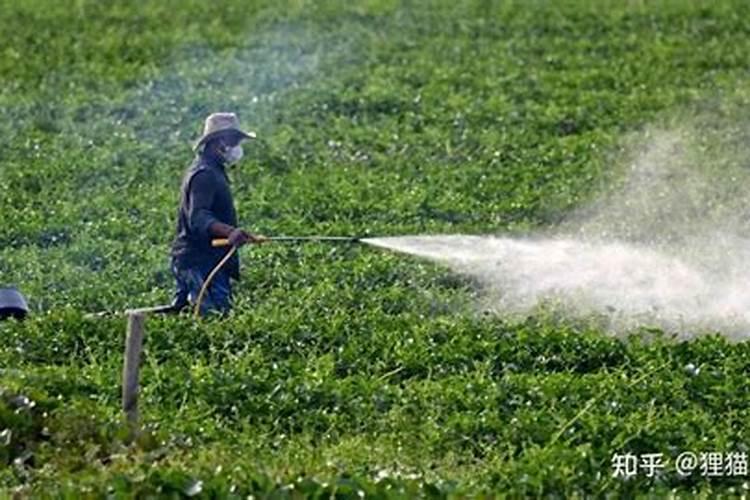 果树结果期施什么肥 果树结果期施哪些肥