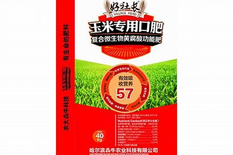 玉米大喇口用微喷给进施肥水溶肥是先施肥还是后施肥