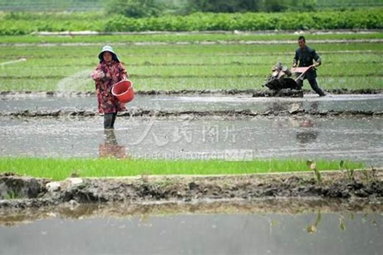 中国水溶肥十大品牌