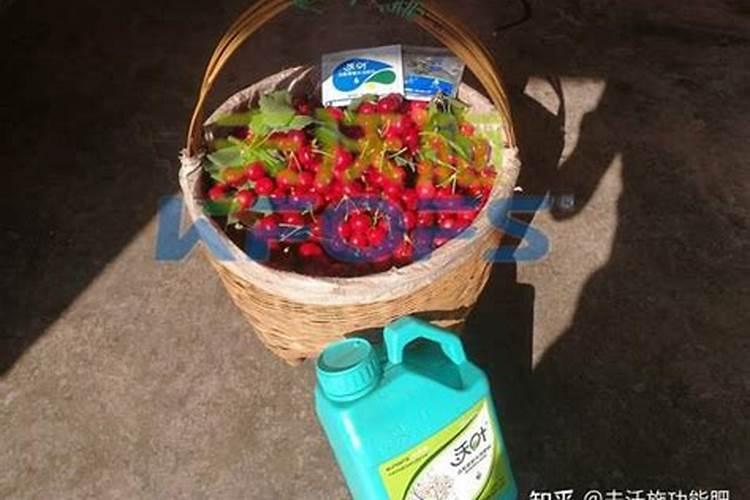 水溶肥知名品牌有哪些？