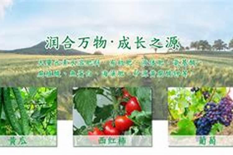 国内比较好水溶肥厂家有哪些