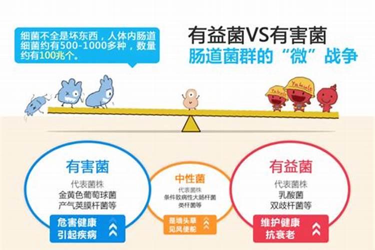 大豆有机肥用什么菌最好