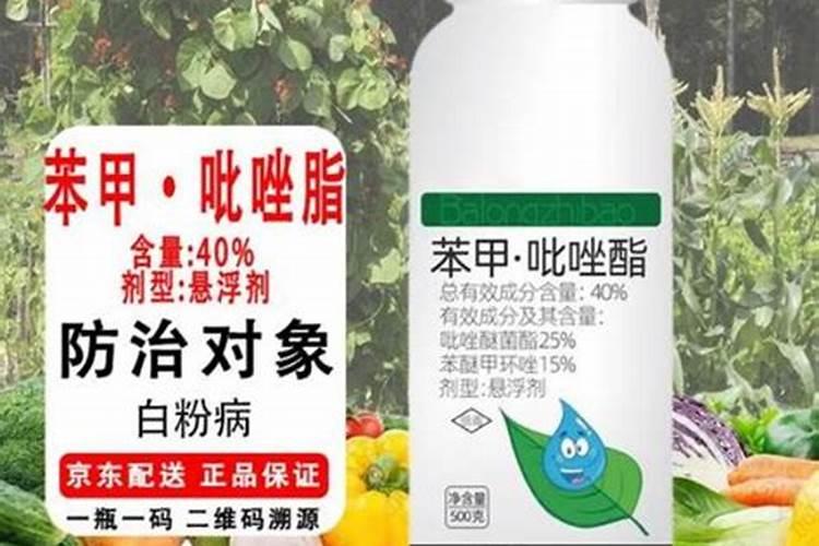 要怎么护理,需要打叶面肥吗