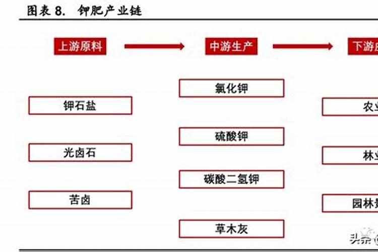钾肥能溶于水吗