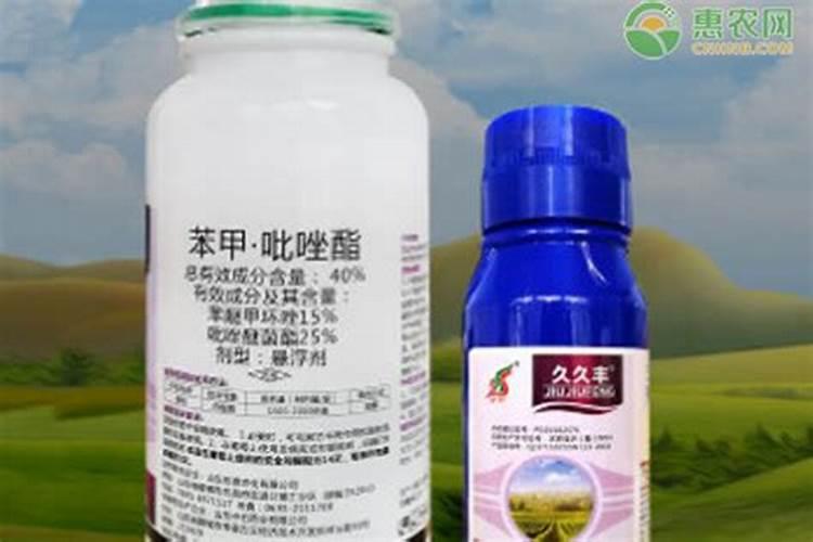 苯甲吡唑酯能治疗黄瓜叶片白斑