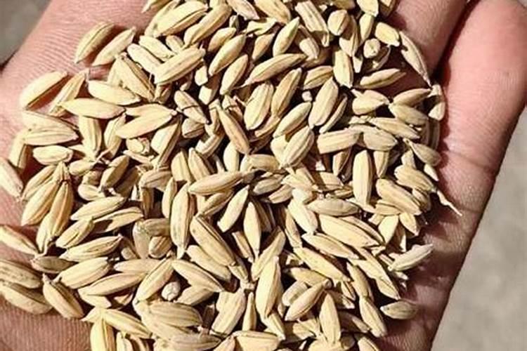 各种作物所需化肥含量