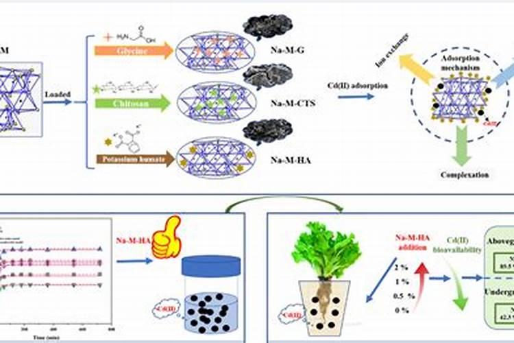 农作物用的化肥,对大脑有什么副作用？