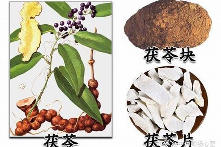 芸苔素对植物有效吗？